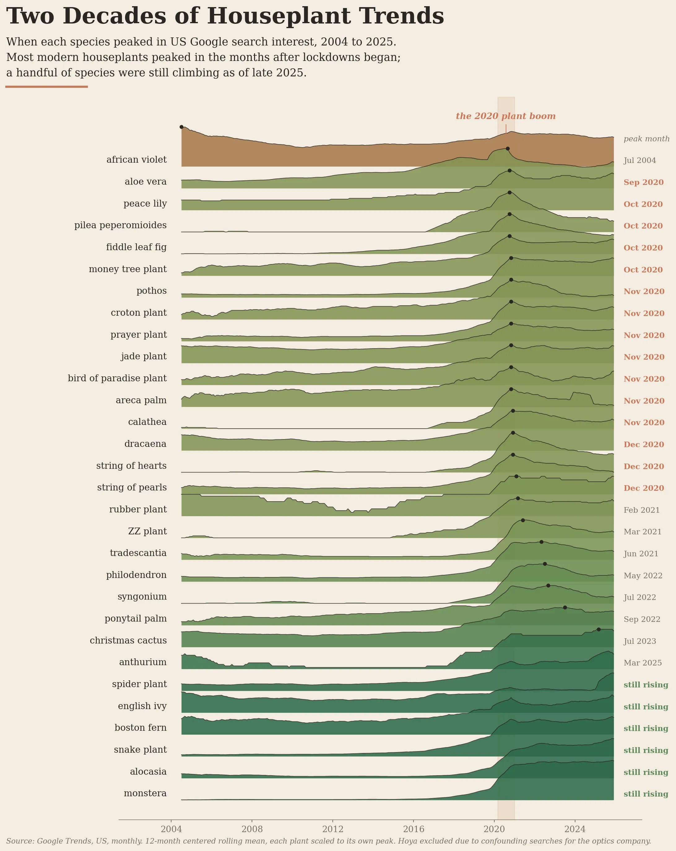 Ridgeline chart of monthly US Google search interest for 31 houseplant species from 2004 to 2025, with each species labeled by its peak month. Most species peaked in late 2020, in the months after lockdowns began. A handful (snake plant, alocasia, monstera, and others) were still rising as of late 2025.