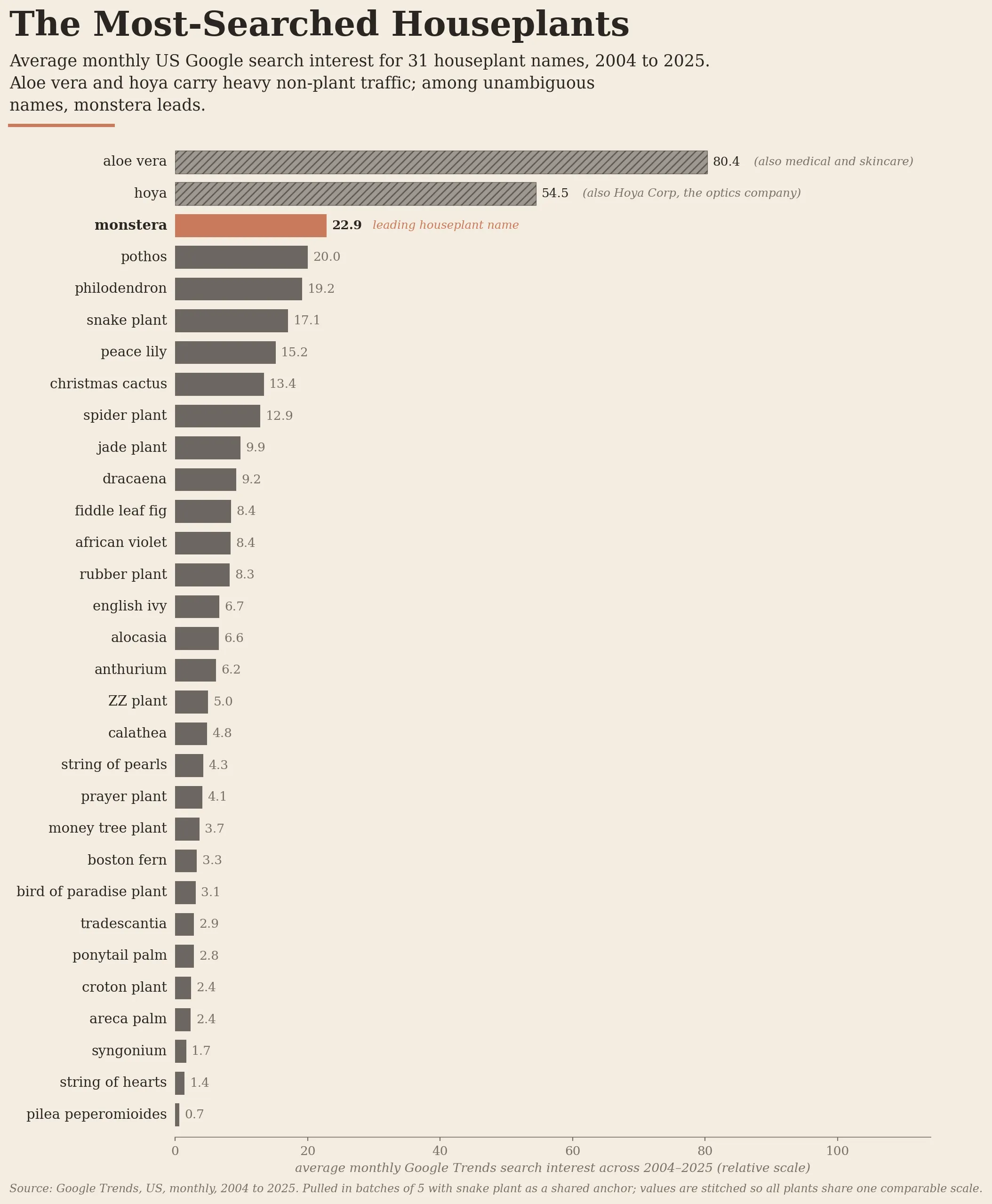 Bar chart of average monthly US Google search interest for 31 houseplant names from 2004 to 2025. Aloe vera and hoya rank highest but carry heavy non-plant traffic (skincare, optics company). Among unambiguous names, monstera leads at 22.9, followed by pothos, philodendron, snake plant, and peace lily.